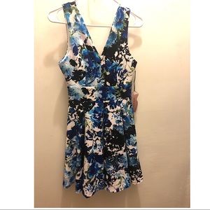 Blue/White Floral V-neck Fit & Flare Dress